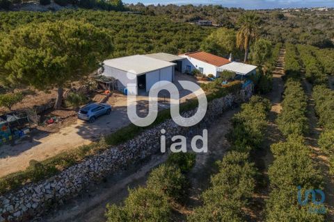 Byhus i Silves, Faro, Silves - € 650.000 | Ref: 150236 - foto 1