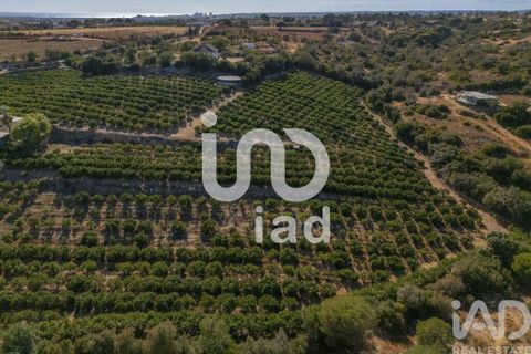Byhus i Silves, Faro, Silves - € 650.000 | Ref: 150236 - foto 20