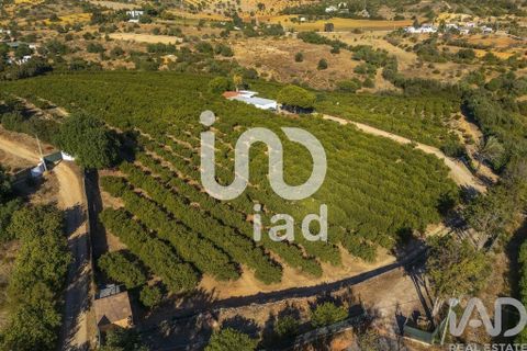 Byhus i Silves, Faro, Silves - € 650.000 | Ref: 150236 - foto 21
