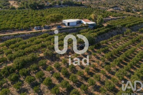 Byhus i Silves, Faro, Silves - € 650.000 | Ref: 150236 - foto 22