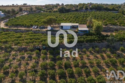 Byhus i Silves, Faro, Silves - € 650.000 | Ref: 150236 - foto 23