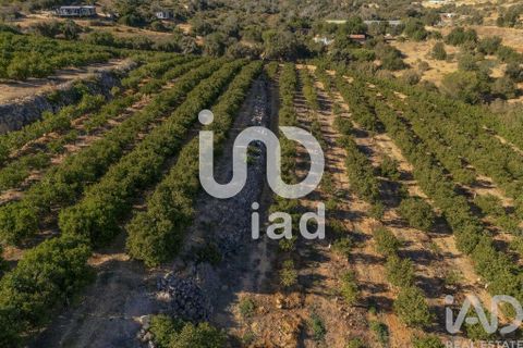 Byhus i Silves, Faro, Silves - € 650.000 | Ref: 150236 - foto 25