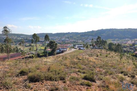 Helårsgrund i Anadia, Aveiro, Anadia - € 65.000 | Ref: 151102 - foto 6