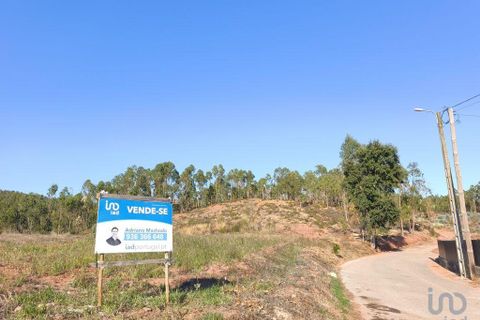 Helårsgrund i Anadia, Aveiro, Anadia - € 65.000 | Ref: 151102 - foto 7
