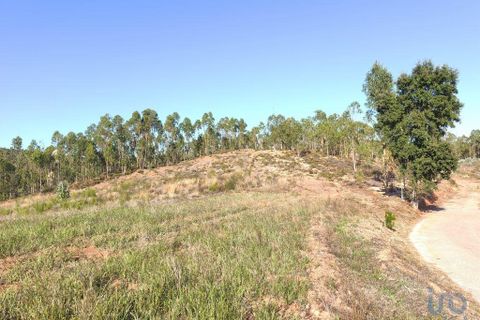 Helårsgrund i Anadia, Aveiro, Anadia - € 65.000 | Ref: 151102 - foto 8