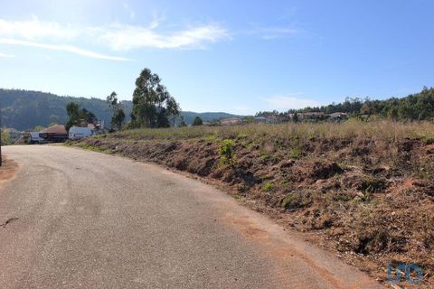 Helårsgrund i Anadia, Aveiro, Anadia - € 65.000 | Ref: 151102 - foto 9