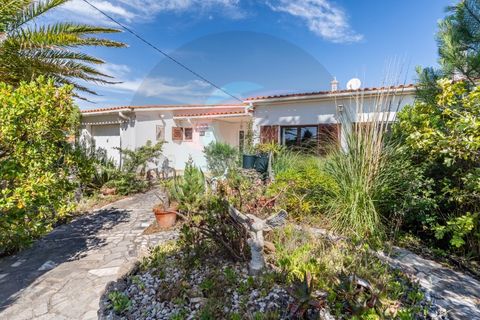 Villa i Aljezur, Faro, Aljezur - € 750.000 | Ref: M-0234 - foto 4