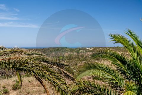 Villa i Aljezur, Faro, Aljezur - € 750.000 | Ref: M-0234 - foto 48