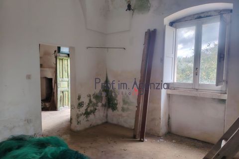 Landejendom i Carovigno, Brindisi, Carovigno - € 50.000 | Ref: 122977 - foto 2