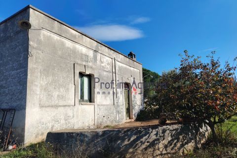 Landejendom i Carovigno, Brindisi, Carovigno - € 50.000 | Ref: 122977 - foto 12