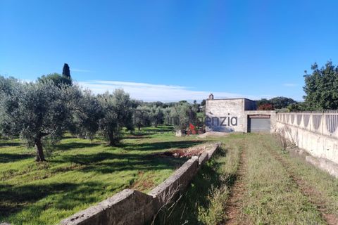 Landejendom i Carovigno, Brindisi, Carovigno - € 50.000 | Ref: 122977 - foto 3