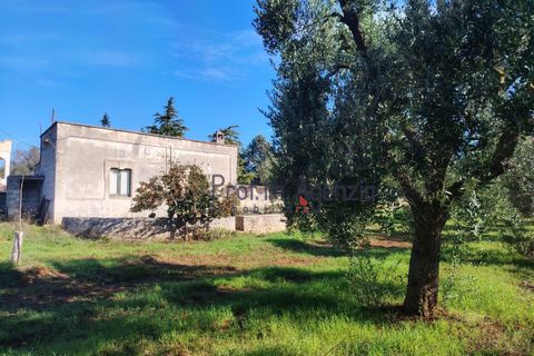 Landejendom i Carovigno, Brindisi, Carovigno - € 50.000 | Ref: 122977 - foto 8