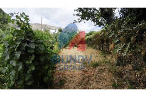 Farm i Vila Carvalho, Castelo Branco, Vila Carvalho - € 36.000 | Ref: 440059/25COV - foto 2