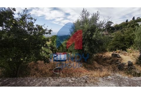 Farm i Vila Carvalho, Castelo Branco, Vila Carvalho - € 36.000 | Ref: 440059/25COV - foto 10