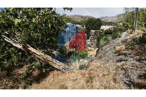 Farm i Vila Carvalho, Castelo Branco, Vila Carvalho - € 36.000 | Ref: 440059/25COV - foto 12
