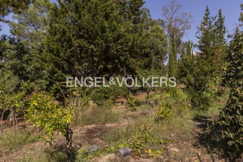 Villa i Quinta do Anjo, Setubal, Quinta do Anjo - € 875.000 | Ref: W-046SDZ - foto 32
