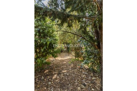 Villa i Quinta do Anjo, Setubal, Quinta do Anjo - € 875.000 | Ref: W-046SDZ - foto 33