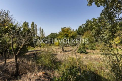 Villa i Quinta do Anjo, Setubal, Quinta do Anjo - € 875.000 | Ref: W-046SDZ - foto 34