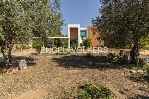 Villa i Quinta do Anjo, Setubal, Quinta do Anjo - € 875.000 | Ref: W-046SDZ - foto 37