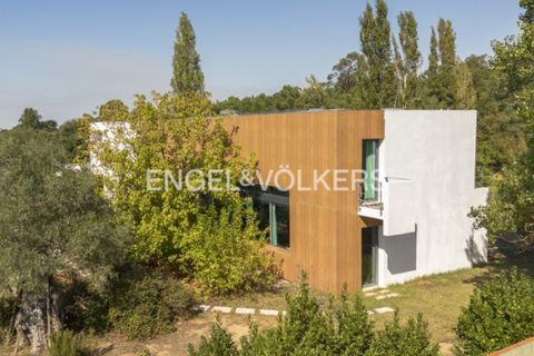 Villa i Quinta do Anjo, Setubal, Quinta do Anjo - € 875.000 | Ref: W-046SDZ - foto 40
