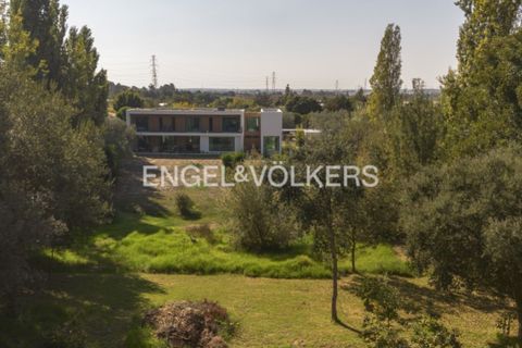 Villa i Quinta do Anjo, Setubal, Quinta do Anjo - € 875.000 | Ref: W-046SDZ - foto 45