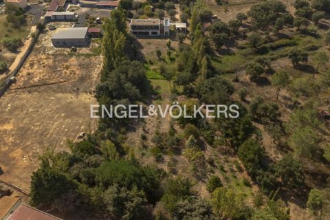 Villa i Quinta do Anjo, Setubal, Quinta do Anjo - € 875.000 | Ref: W-046SDZ - foto 47