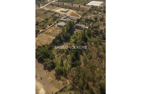 Villa i Quinta do Anjo, Setubal, Quinta do Anjo - € 875.000 | Ref: W-046SDZ - foto 49