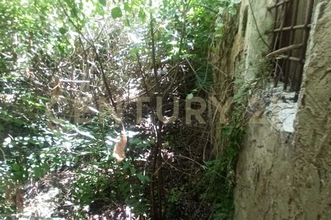 Villa i Aidone, Enna, Aidone - € 90.000 | Ref: 013-025 - foto 11