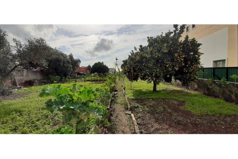 Terra a Massama, Lisbon, Massama - € 490.000 | Ref: PB021755 - foto 10