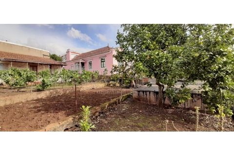 Terra a Massama, Lisbon, Massama - € 490.000 | Ref: PB021755 - foto 14
