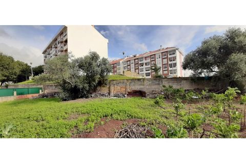 Terra a Massama, Lisbon, Massama - € 490.000 | Ref: PB021755 - foto 16