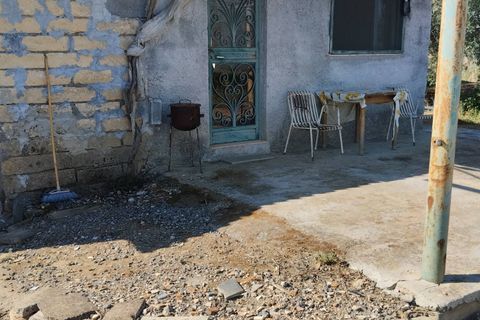 Terra a Ramacca, Catania, Ramacca - € 60.000 | Ref: 630 - foto 5