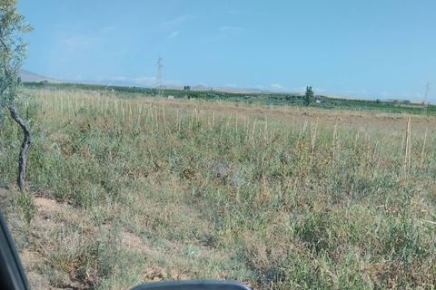 Terra a Ramacca, Catania, Ramacca - € 60.000 | Ref: 630 - foto 6