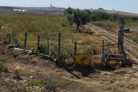 Terra a Ramacca, Catania, Ramacca - € 60.000 | Ref: 630 - foto 10
