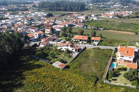 Villa a Trofa, Porto, Trofa - € 595.000 | Ref: 352250245 - foto 30