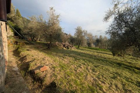 Villa i Pescaglia, Lucca, Pescaglia - € 290.000 | Ref: IA04062-bis - foto 15