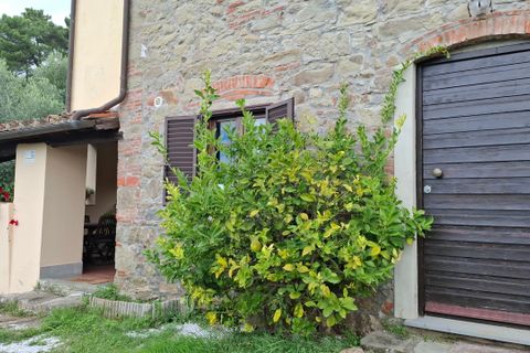 Villa a Pescia, Pistoia, Pescia - € 449.000 | Ref: IA04012-bis - foto 12