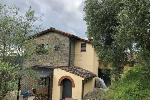 Villa a Pescia, Pistoia, Pescia - € 449.000 | Ref: IA04012-bis - foto 19