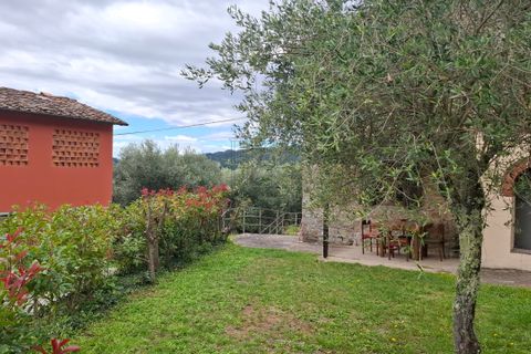 Villa a Pescia, Pistoia, Pescia - € 449.000 | Ref: IA04012-bis - foto 21