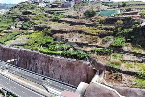 Helårsgrund i Camara de Lobos, Madeira, Camara de Lobos - € 150.000 | Ref: IK670CL - foto 1