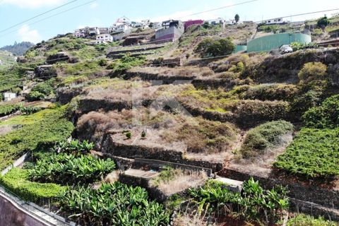 Helårsgrund i Camara de Lobos, Madeira, Camara de Lobos - € 150.000 | Ref: IK670CL - foto 7