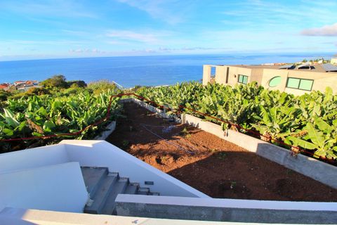 Villa i Funchal, Madeira, Funchal - € 1.400.000 | Ref: 46A/2025 - foto 12
