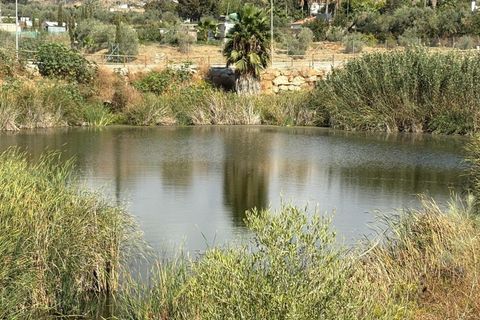 Terra a Cartama, Malaga, Cartama - € 125.000 | Ref: 7272-00882/7272 - foto 17