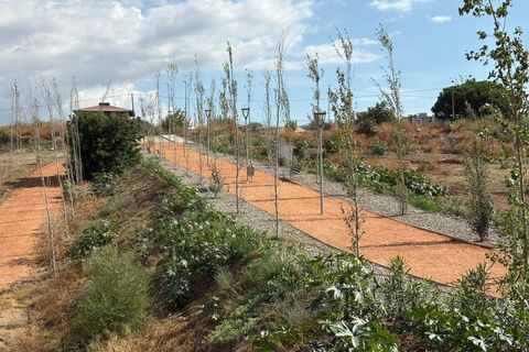 Terra a Cartama, Malaga, Cartama - € 125.000 | Ref: 7272-00882/7272 - foto 18