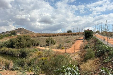 Terra a Cartama, Malaga, Cartama - € 125.000 | Ref: 7272-00882/7272 - foto 19