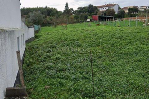 Helårsgrund i Anadia, Aveiro, Anadia - € 29.999 | Ref: C0385-00923 - foto 7