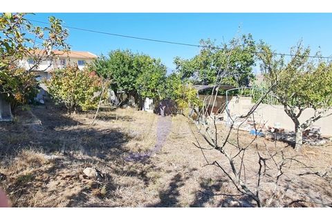 Tomt i Cacem, Lisbon, Cacem - € 200 000 | Ref: 8567 - foto 3