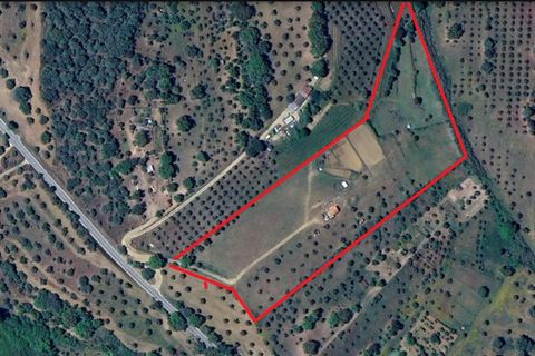 Helårsgrund i Abrantes, Santarem, Abrantes - € 50.000 | Ref: T-29664 - foto 1