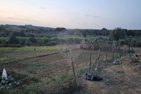 Helårsgrund i Abrantes, Santarem, Abrantes - € 50.000 | Ref: T-29664 - foto 4