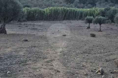 Helårsgrund i Abrantes, Santarem, Abrantes - € 50.000 | Ref: T-29664 - foto 5